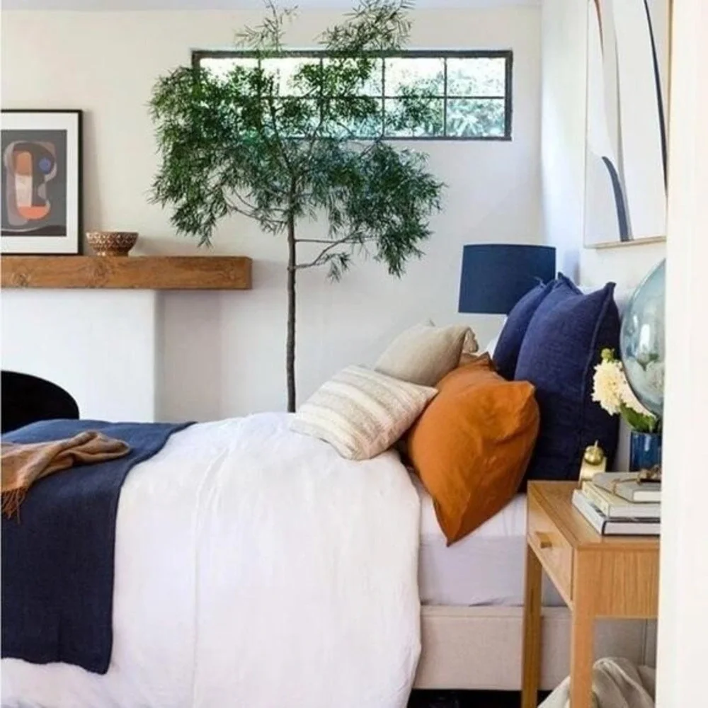 Pom Pom at Home pom home